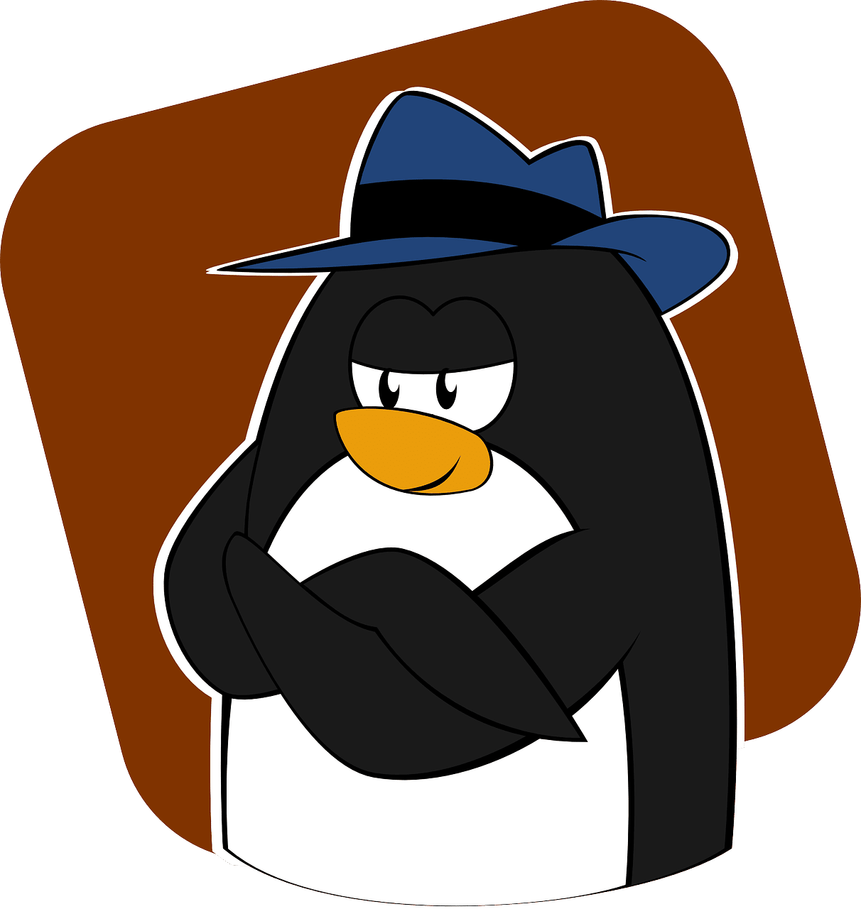 Les 9 meilleures distributions Linux pour les utilisateurs soucieux de leur vie privée
