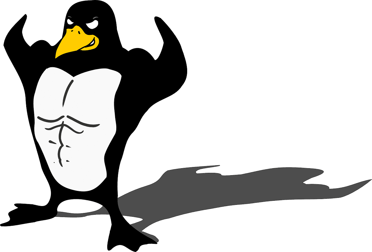 TOP 6 meilleures distributions Linux légères