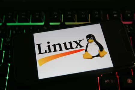 Protection des fichiers du shell Linux