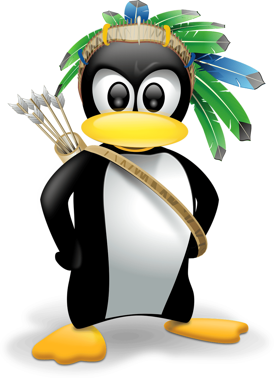 Lorsque vous installez la plupart des distributions Linux : télécharger l’ISO, créer un support de démarrage et commencer le processus d’installation