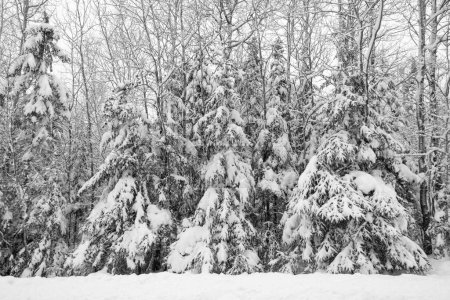 Conseils pour la photographie de neige : Améliorer la photographie d’hiver