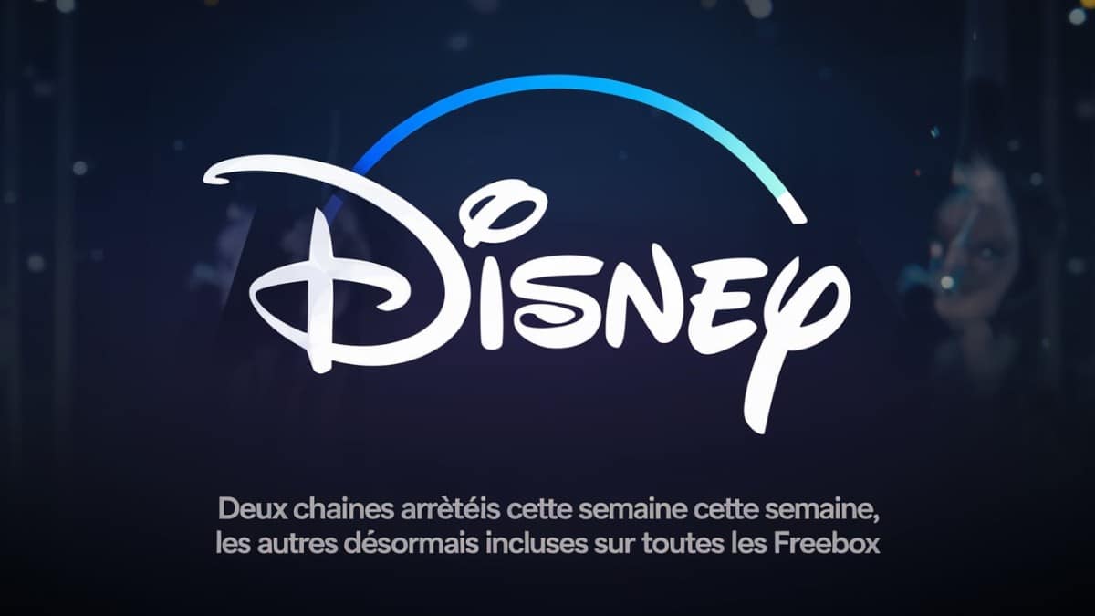 logo disney et freebox
